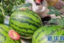今日911吃瓜爆料最新消息,揭秘今日最新热点事件内幕